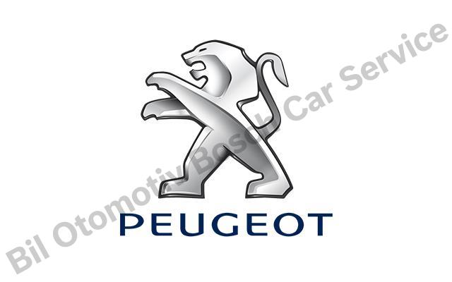 Ankara Peugeot Servisi