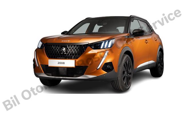 Peugeot Araçlar İçin Profesyonel Servis Deneyimi
